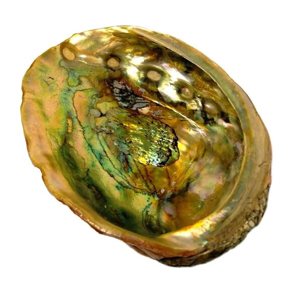 Vintage ABALONE RARE Golden Green Iridescence Shell  Footed Bowl Dish MCM - Picture 10 of 10